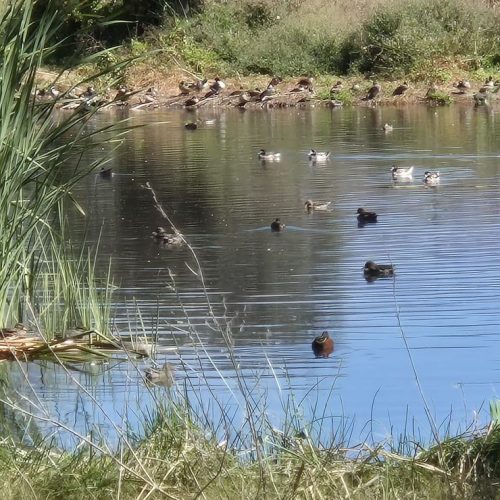 WhatsApp Image 2025-12-17 at 09.42.20