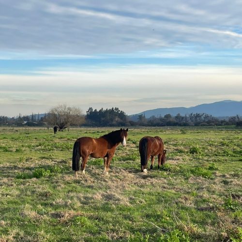 WhatsApp Image 2025-12-17 at 09.42.29 (2)