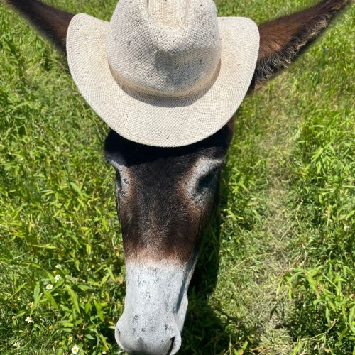 WhatsApp Image 2025-12-17 at 09.42.30 (2)