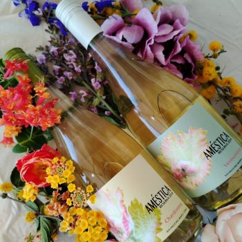 WhatsApp Image 2025-12-17 at 09.42.31 (1) (1)