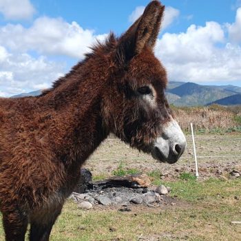 WhatsApp Image 2025-12-17 at 09.42.31 (3) (1)