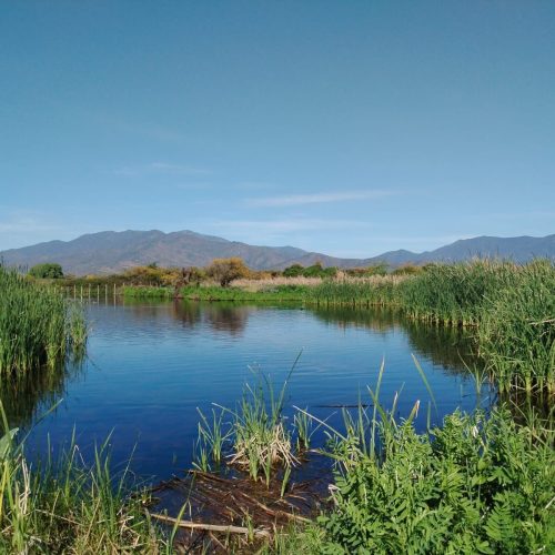 WhatsApp Image 2025-12-17 at 09.42.31 (4) (1)