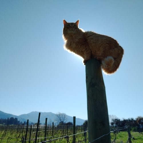 WhatsApp Image 2025-12-17 at 09.42.31 (8)