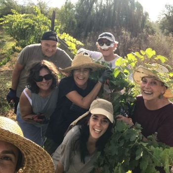 WhatsApp Image 2025-12-17 at 09.42.32 (2)