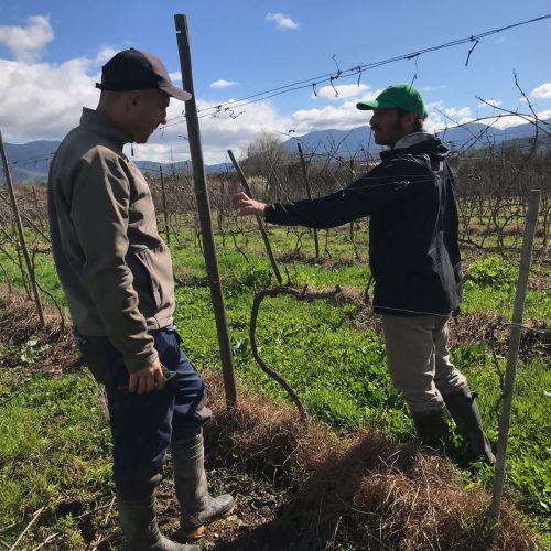 WhatsApp Image 2025-12-17 at 09.42.33 (2)