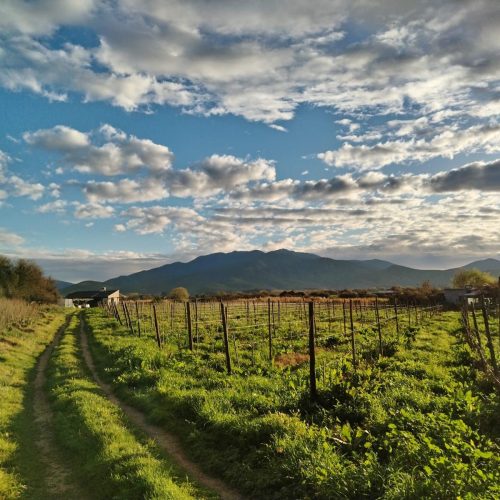 WhatsApp Image 2025-12-17 at 09.42.34 (1)