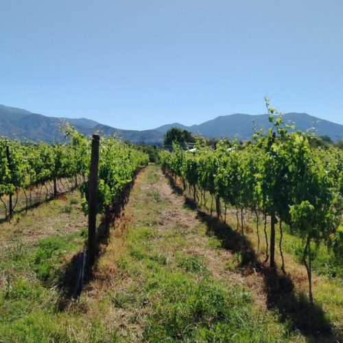 WhatsApp Image 2025-12-17 at 09.42.34 (2)