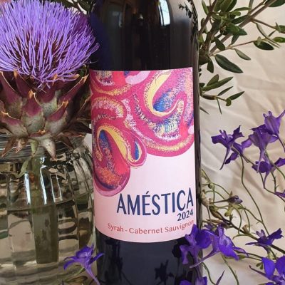 syrah y cabernet sauvignon (1)