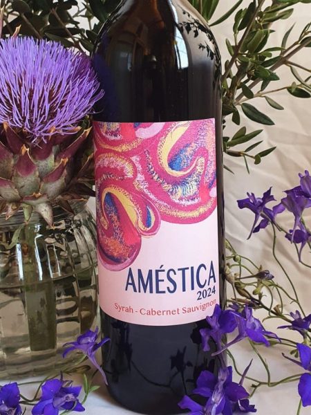 syrah y cabernet sauvignon (1)